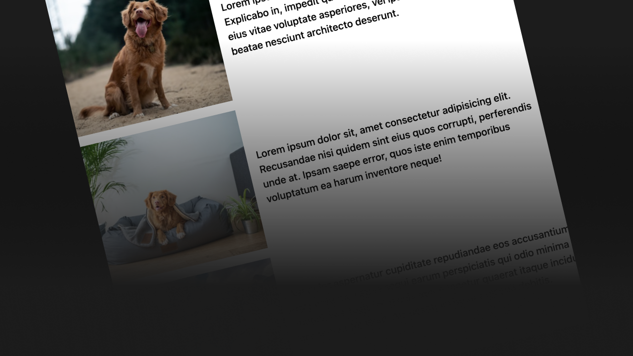 Thumbnail for #208: A CSS Grid Layout with Pictures Down One Side Matched Up with Paragraphs on the Other